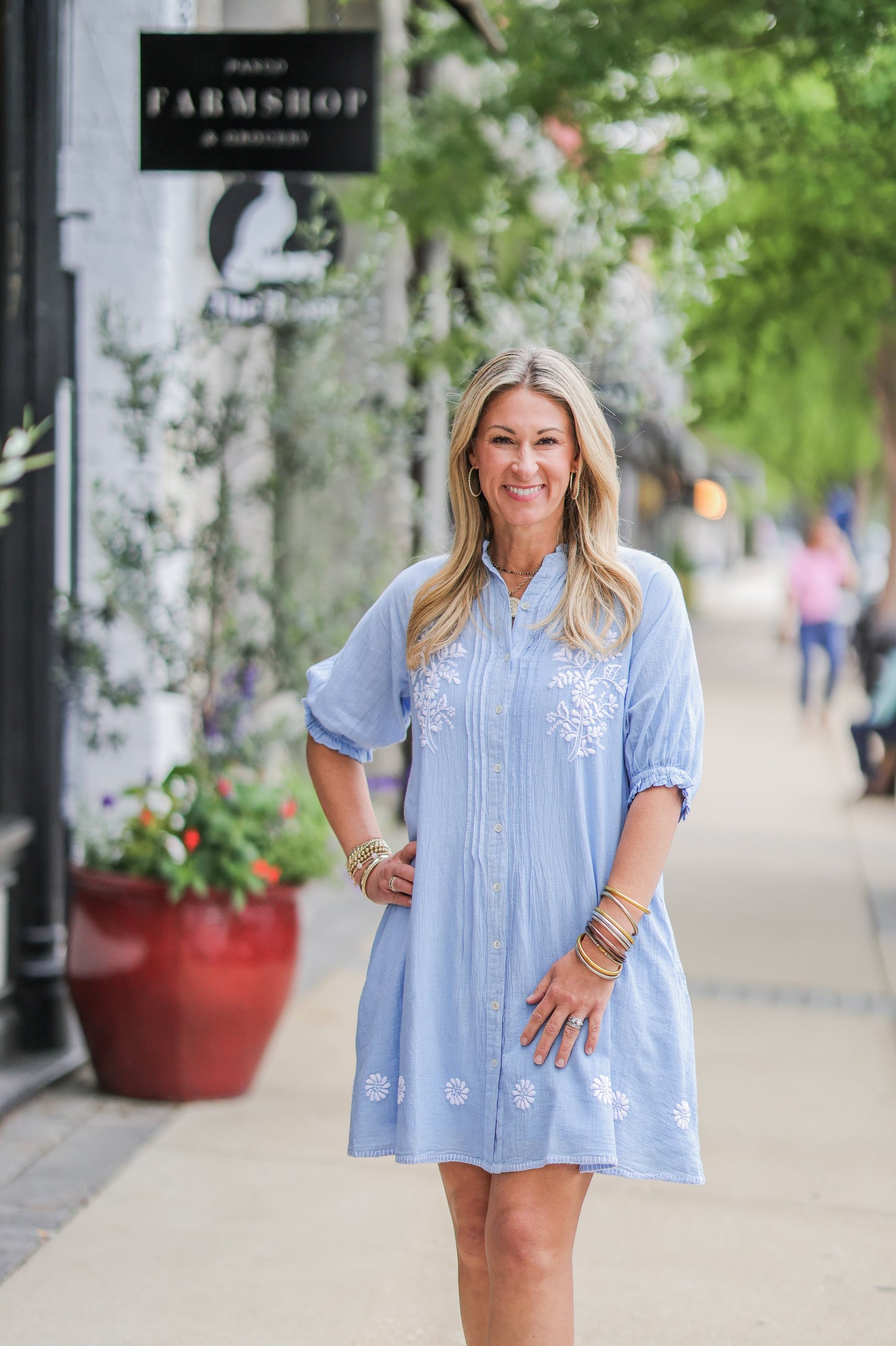 PICTURE DAY BLUE DRESS