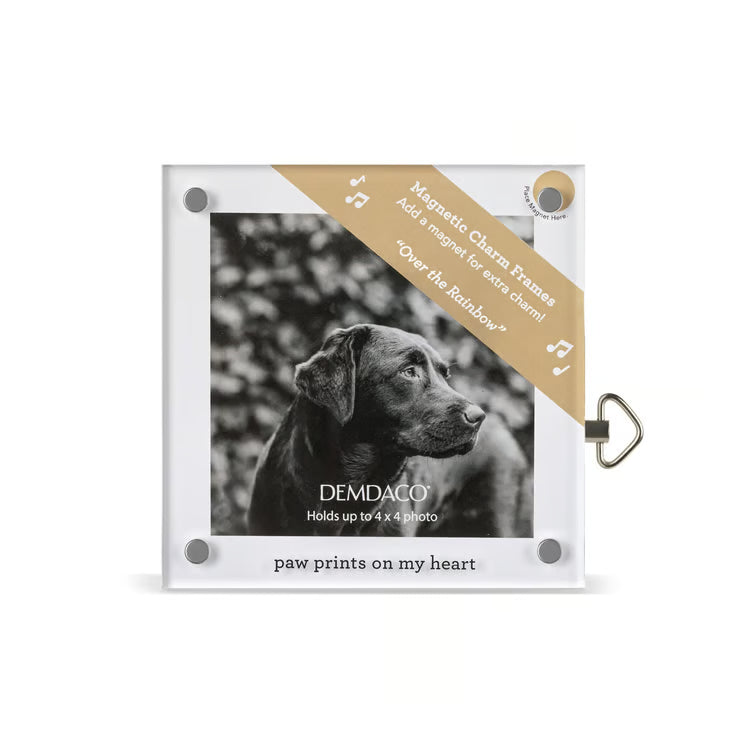 ACRYLIC MAGNETIC MUSICAL FRAME