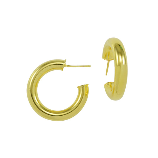 ALABAMA TINY SHINY HOOP AG1606