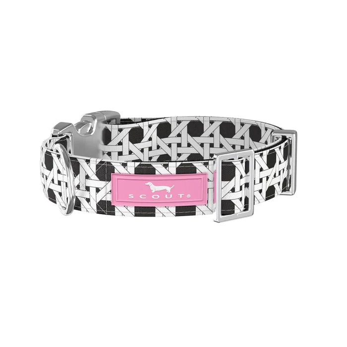 SCOUT DOG COLLAR