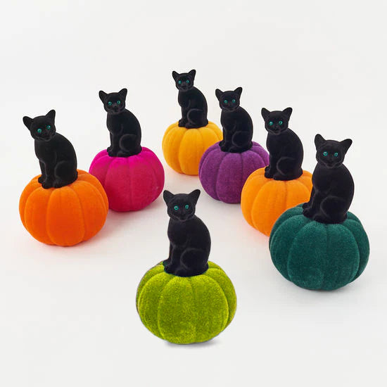 ONE EIGHTY FLOCKED CAT