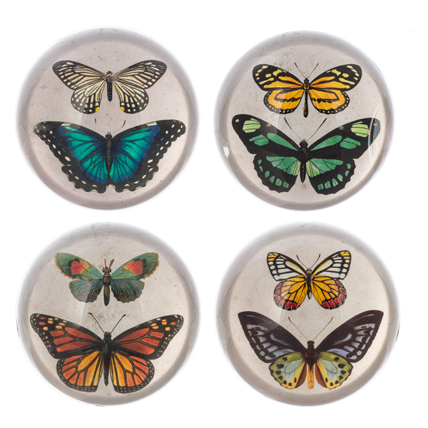 BUTTERFLY PAPERWEIGHT