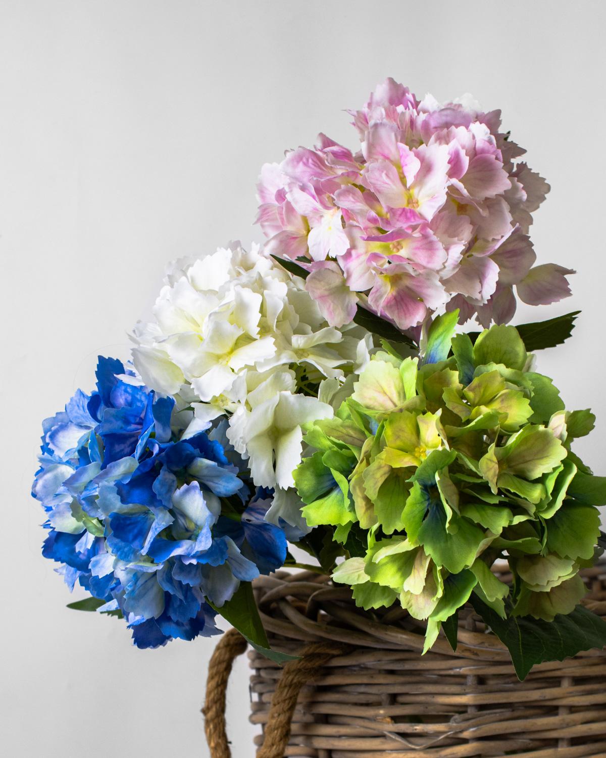 STEM  HYDRANGEA