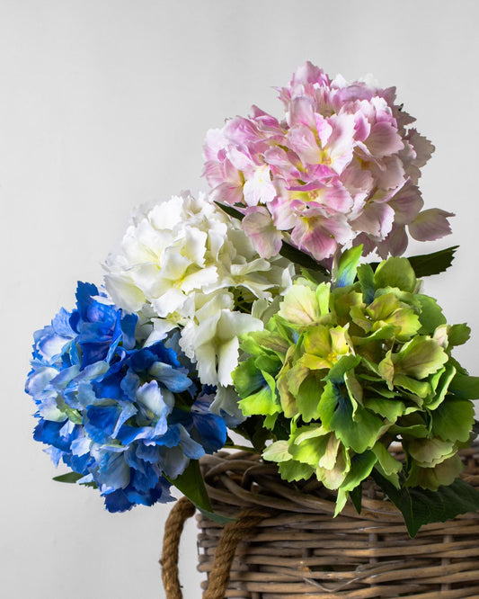 STEM  HYDRANGEA