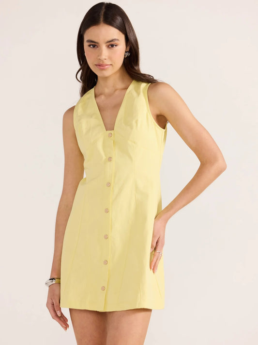 IZZY PANEL MINI DRESS