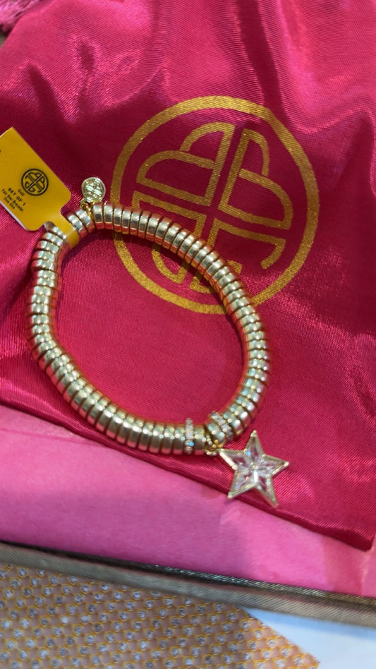 THE GOLD STAR BUNDLE BY BUDHA GIRL