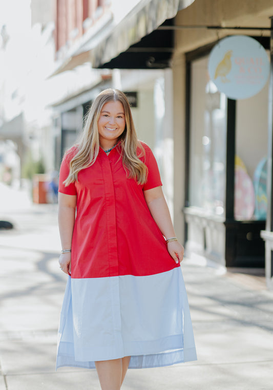 MILLIE COLORBLOCK DRESS