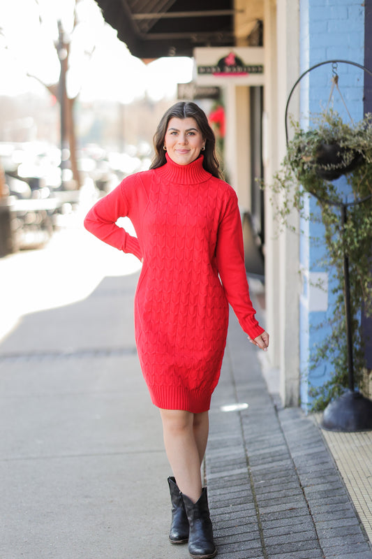 BERRY TURTLENECK DRESS