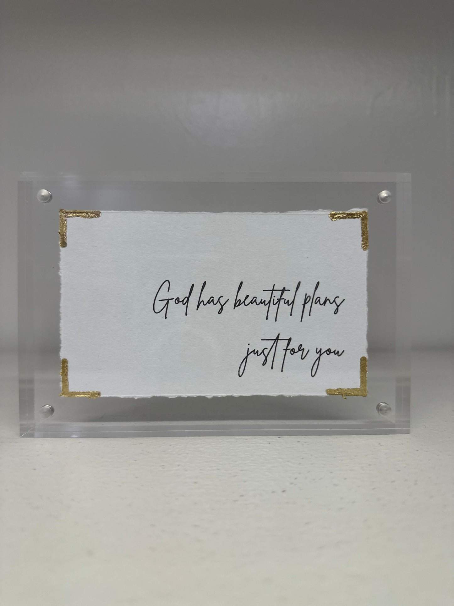 EVA BELLE ACRYLIC FRAMES