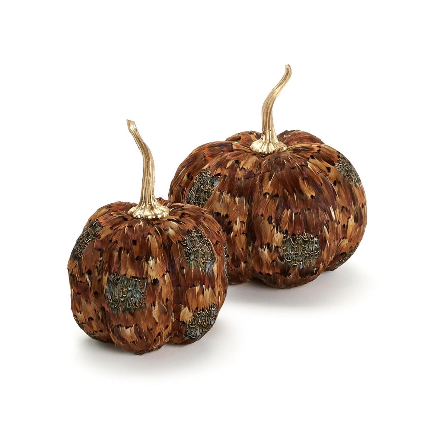 PHEASANT FEATHER PUMPKINS