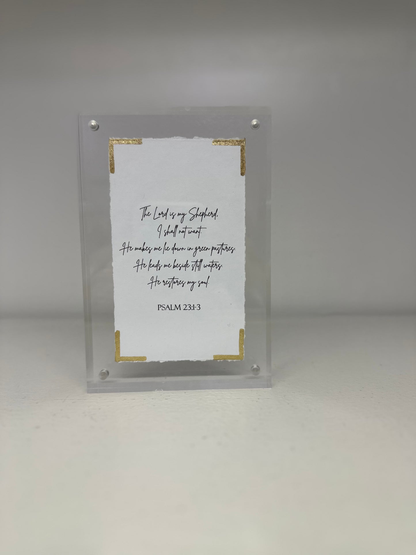 EVA BELLE ACRYLIC FRAMES