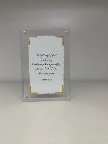 EVA BELLE ACRYLIC FRAMES