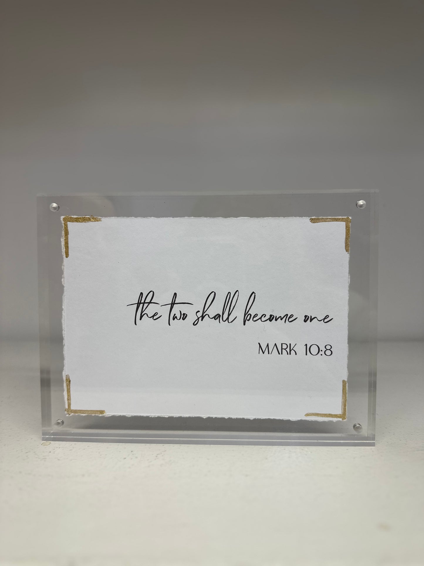 EVA BELLE ACRYLIC FRAMES