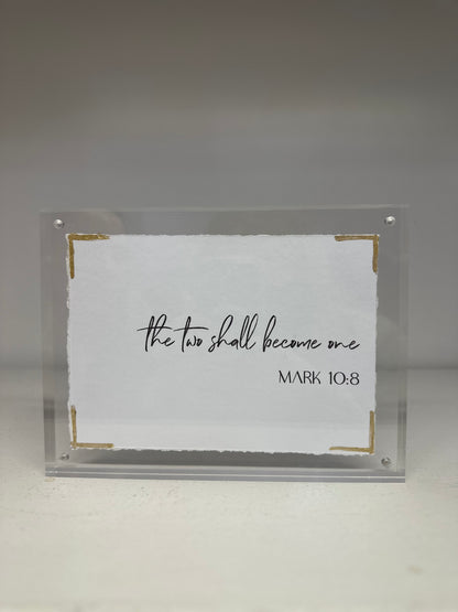 EVA BELLE ACRYLIC FRAMES