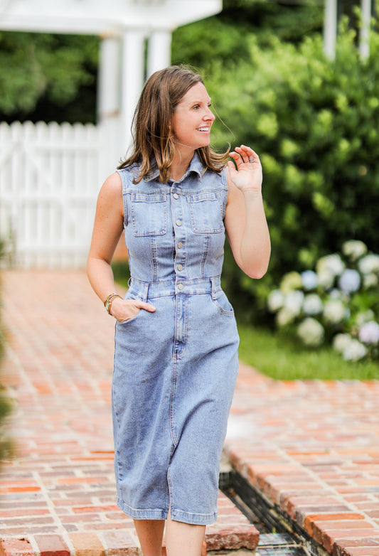 TRISH OAIS DRESS
