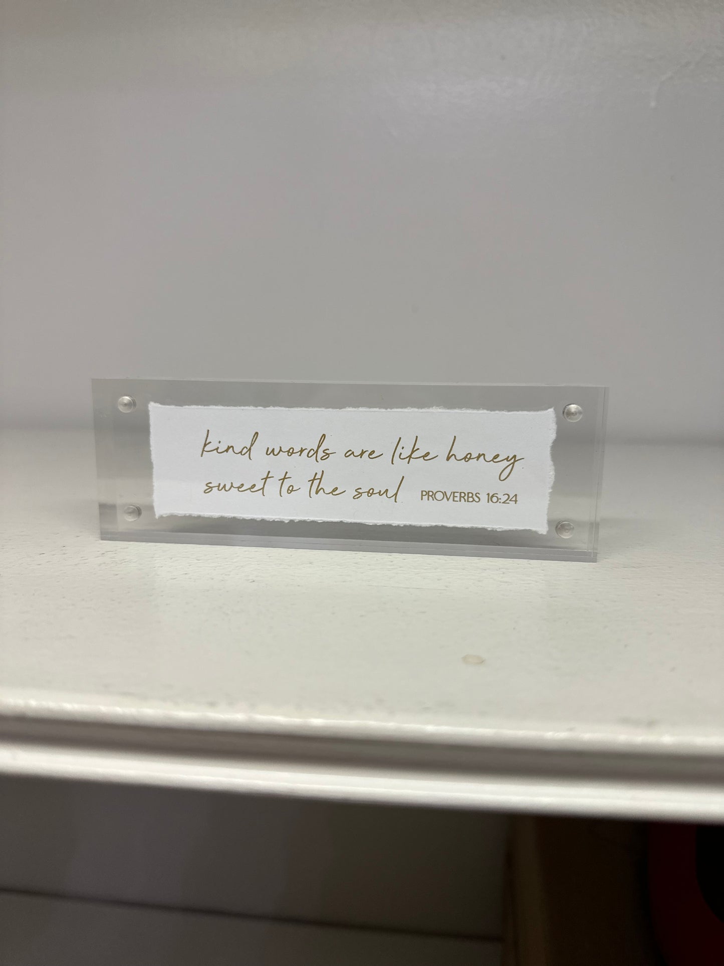 EVA BELLE ACRYLIC FRAMES