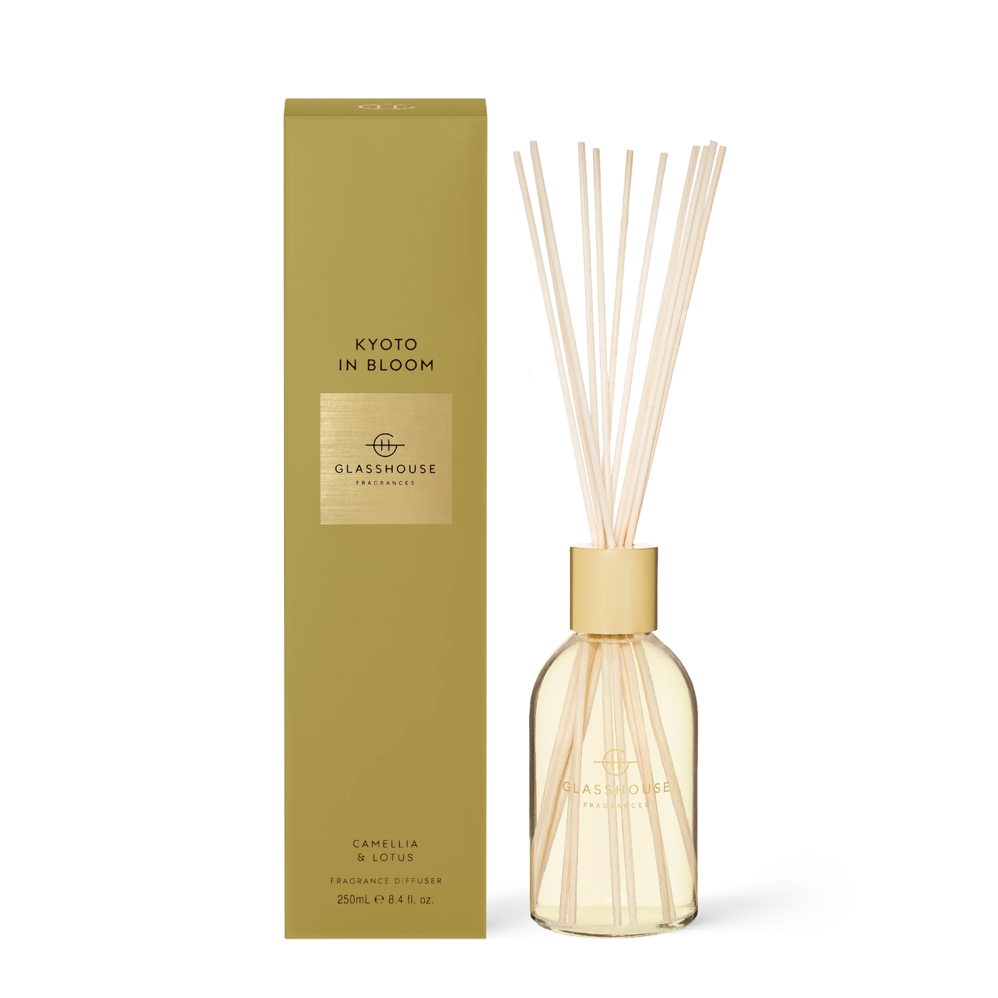 GLASS HOUSE DIFFUSER