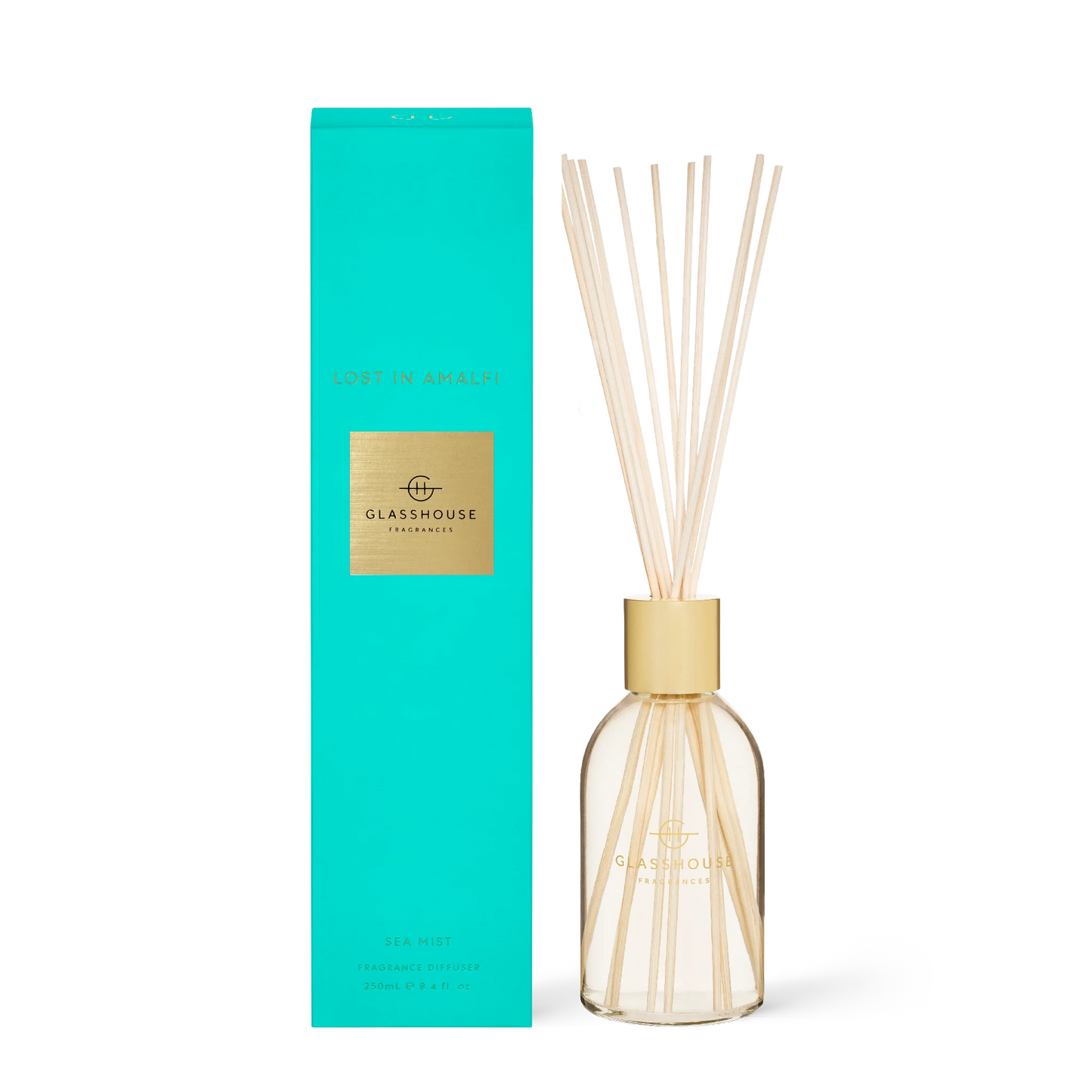 GLASS HOUSE DIFFUSER