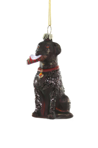 CODY FOSTER CHRISTMAS