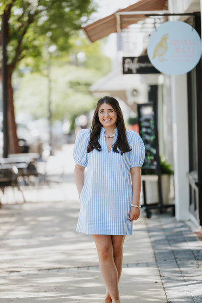 FRENCH BLUE STRIPE HAMPTON MINI