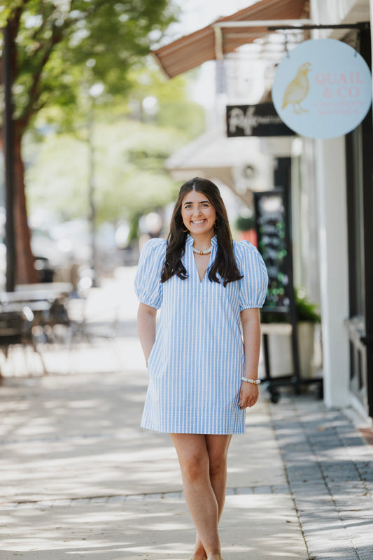 FRENCH BLUE STRIPE HAMPTON MINI