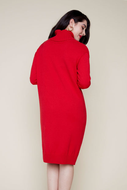 BERRY TURTLENECK DRESS