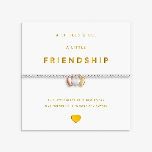 A LITTLE CHARMED MOMENTS BRACELET