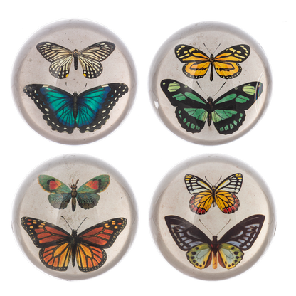 BUTTERFLY PAPERWEIGHT