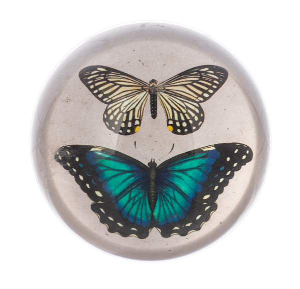 BUTTERFLY PAPERWEIGHT