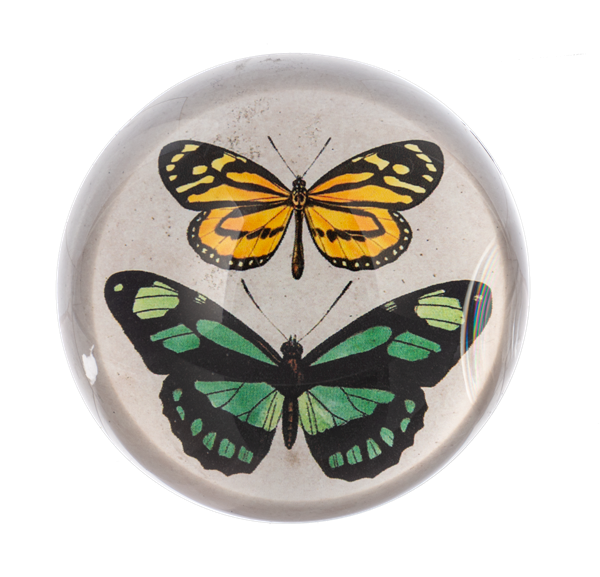 BUTTERFLY PAPERWEIGHT