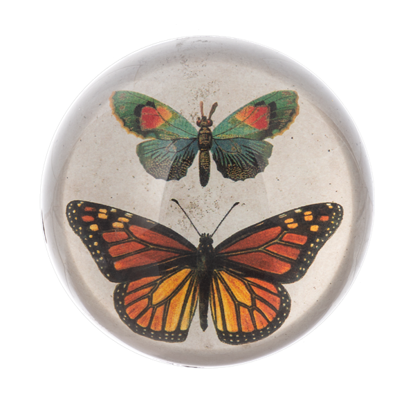 BUTTERFLY PAPERWEIGHT