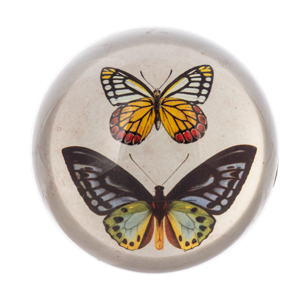 BUTTERFLY PAPERWEIGHT