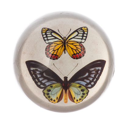 BUTTERFLY PAPERWEIGHT