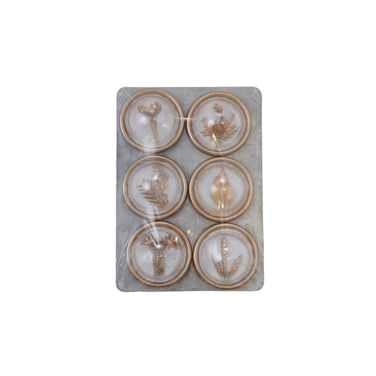 BOTANICAL RESIN MAGNETS