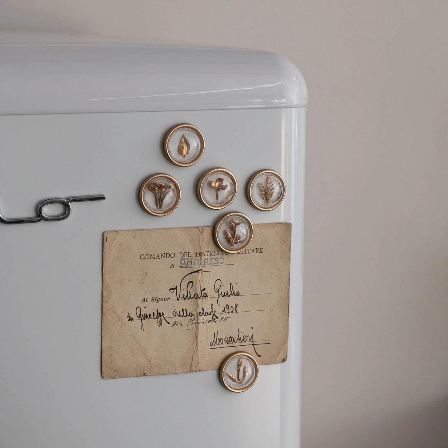 BOTANICAL RESIN MAGNETS